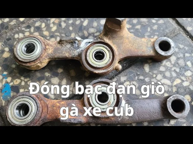 Bạc đạn phuộc giò gà