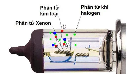 Phan tinh trong bong den xe may jpg