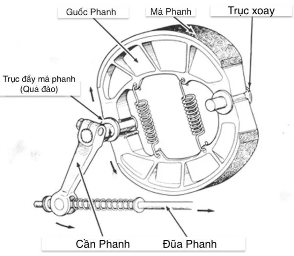 Cấy tạo của bố thắng đùm xe máy